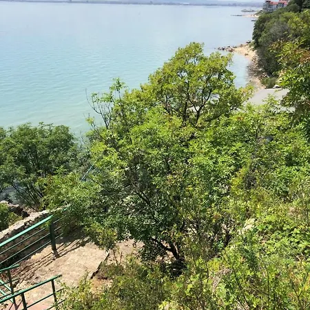 Coral корал бийч 스베티 블라스