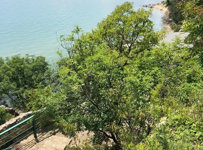 Coral корал бийч 圣弗拉斯