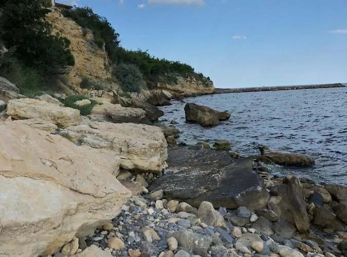 Coral корал бийч 圣弗拉斯