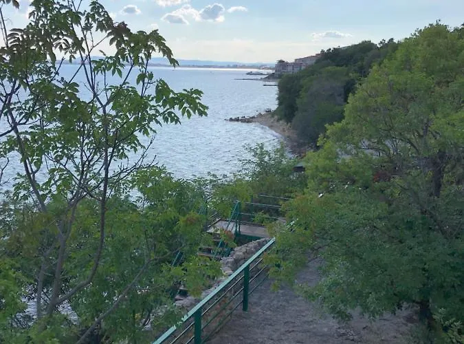 Coral корал бийч 圣弗拉斯